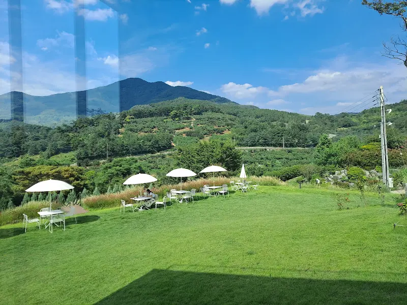 잔디밭에 놓인 테이블과 의자