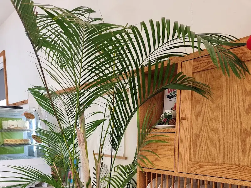 카페 내부 인테리어