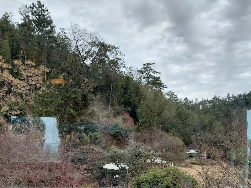 카페에서 바라본 푸르른 숲