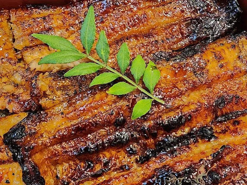 윤기가 흐르는 장어의 자태