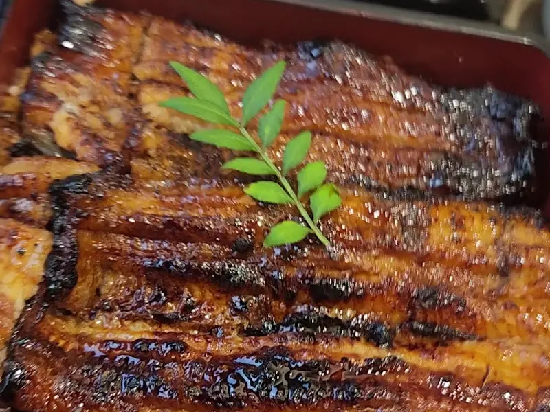 장어덮밥의 클로즈업 샷