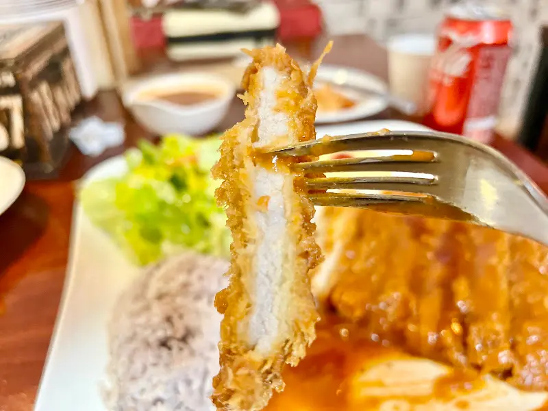 돈까스 한 조각 클로즈업