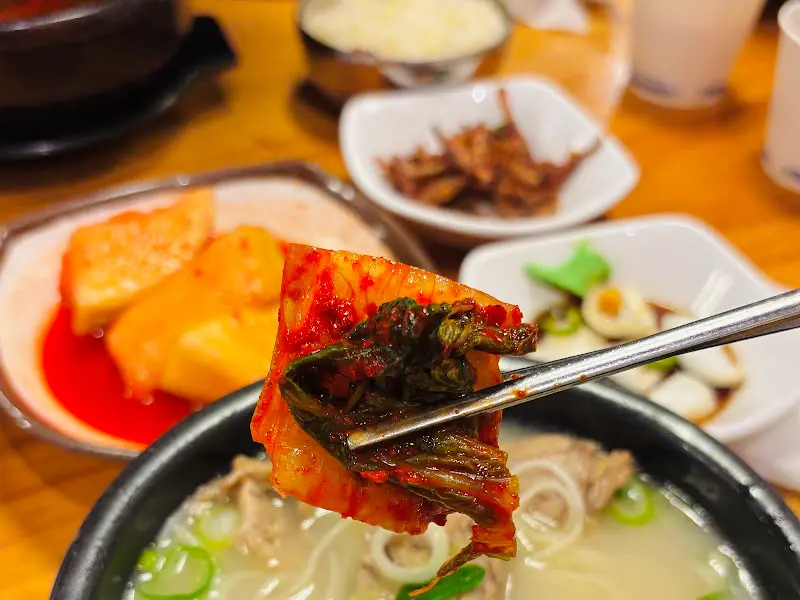 잘 익은 김치를 젓가락으로 집어올리는 모습