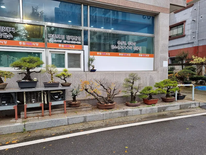 정갈한 분재가 놓인 식당 외관