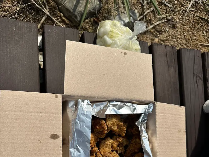 뽀뽀통닭 포장 박스와 무