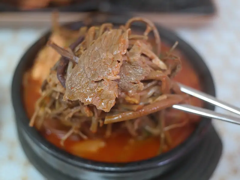 육개장 속 고기와 고사리