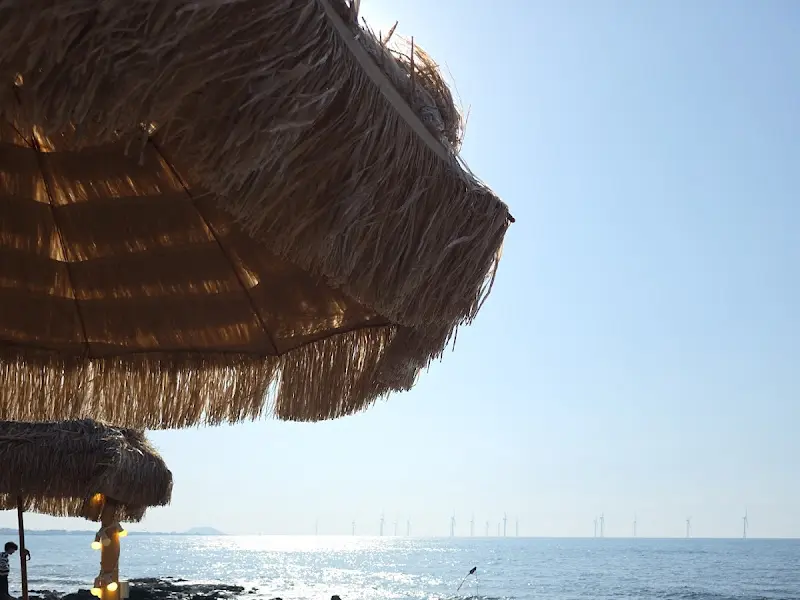 해변에 설치된 파라솔