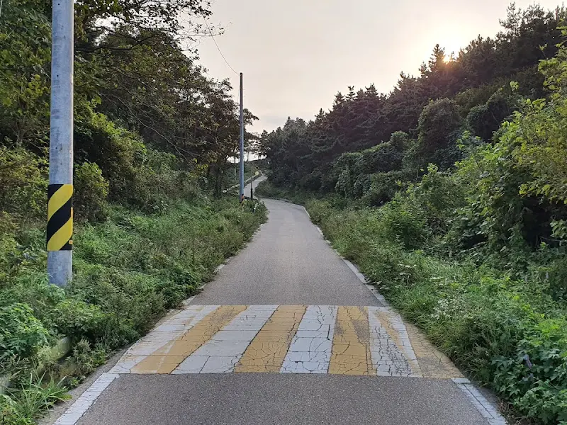 남포리 습곡구조로 향하는 길