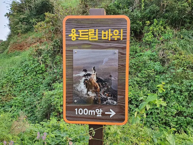 용트림바위 안내판