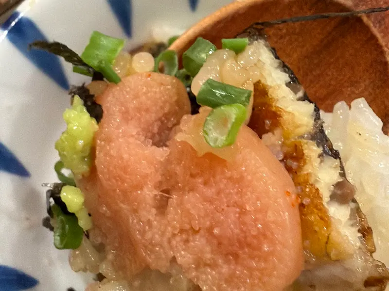 히츠마부시의 클로즈업 샷