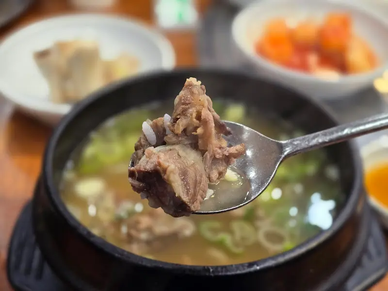 숟가락 위의 갈비