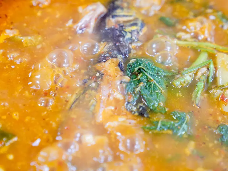 매운탕 속 메기 클로즈업 샷