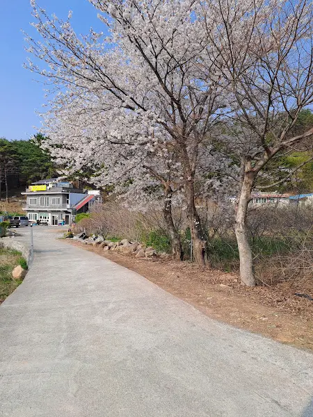 완사아구찜 주변 풍경