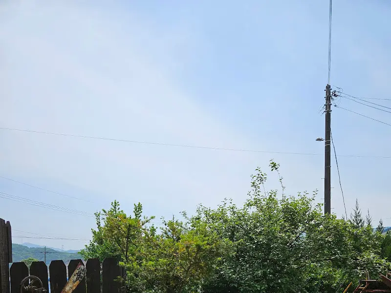 카페 주변 풍경