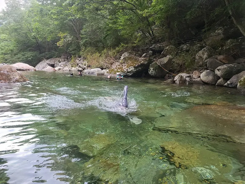 맑고 깨끗한 계곡물이 흐르는 모습