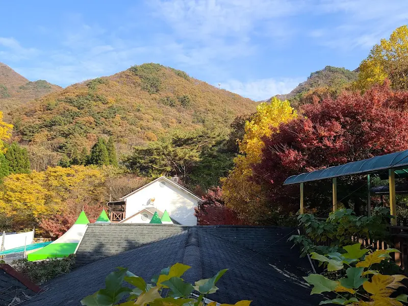 푸짐한 산채비빔밥