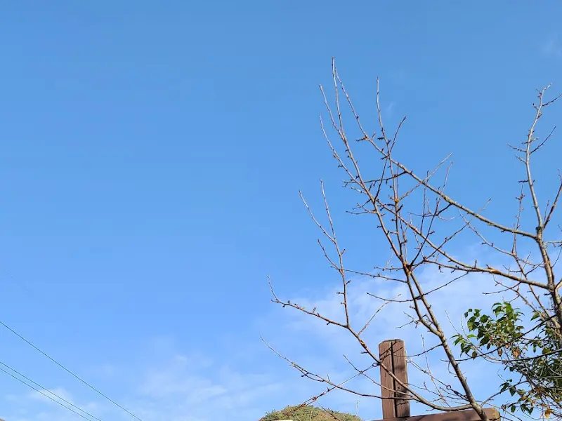 맑은 하늘 아래 산아래첫집