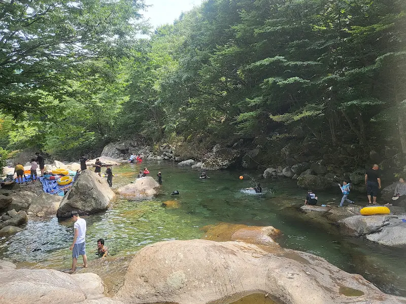 계곡에서 물놀이를 즐기는 사람들