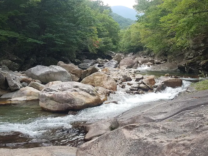 계곡의 시원한 물줄기