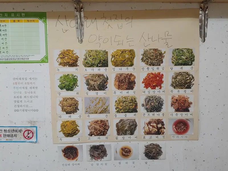 약이 되는 산나물