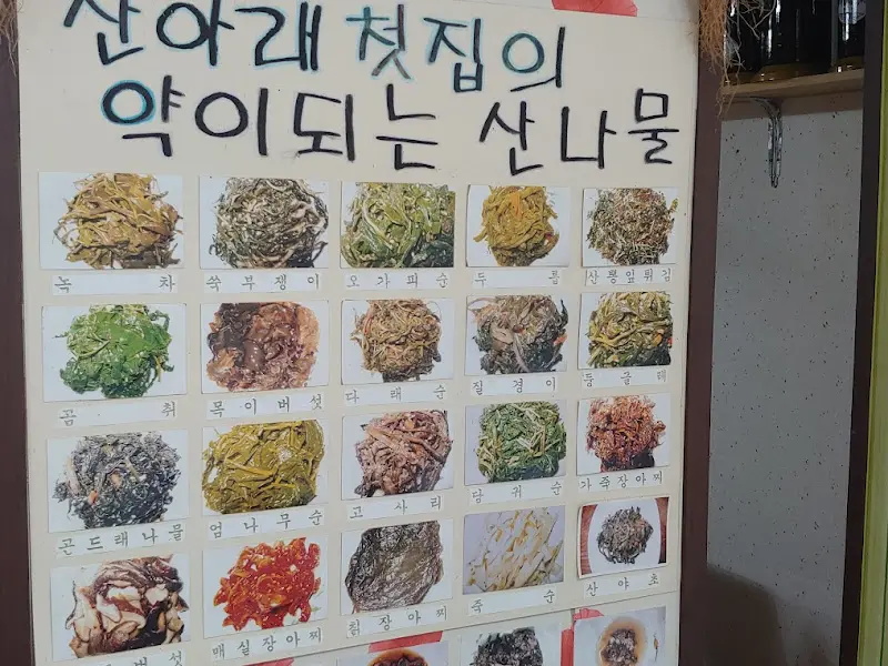 산아래첫집의 약이 되는 산나물