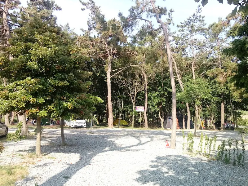 캠핑장 주변 풍경