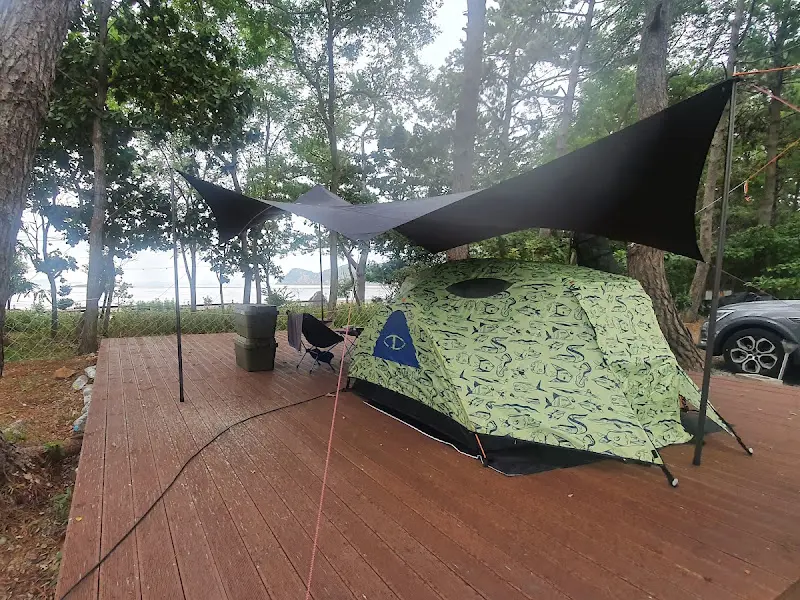 숲 속 캠핑 사이트