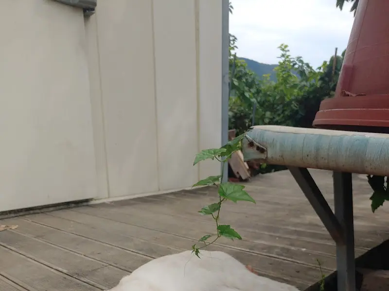 식당 주변 풍경