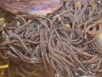 서초에서 맛보는 평양냉면의 깊은 맛! 고려호텔 쉐프의 손길, 설눈 레전드 후기