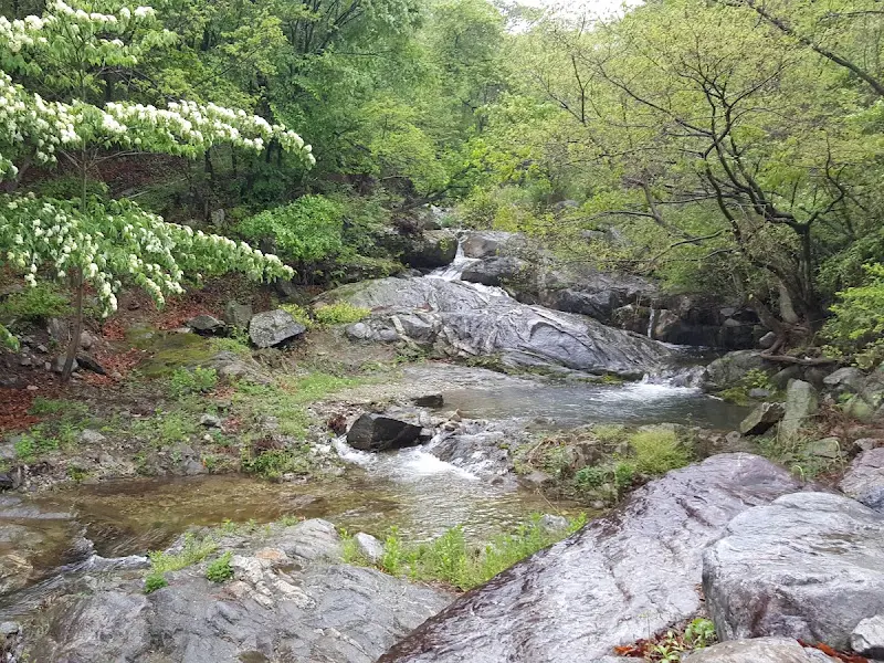 OO가든 옆 계곡의 시원한 물줄기