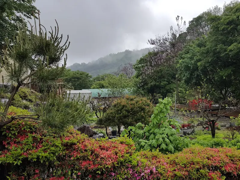 OO가든에서 바라본 가야산 풍경