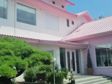 혼밥러, 청주 핑크빛 문 카페에서 위로받다! 혼자 떠난 맛집 순례기