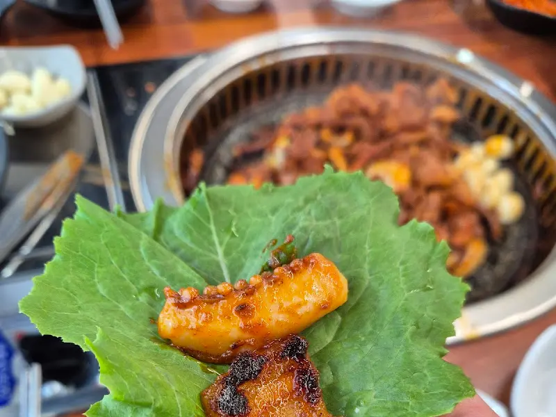 쌈 싸 먹는 모습