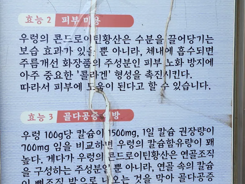 우렁이 효능 안내