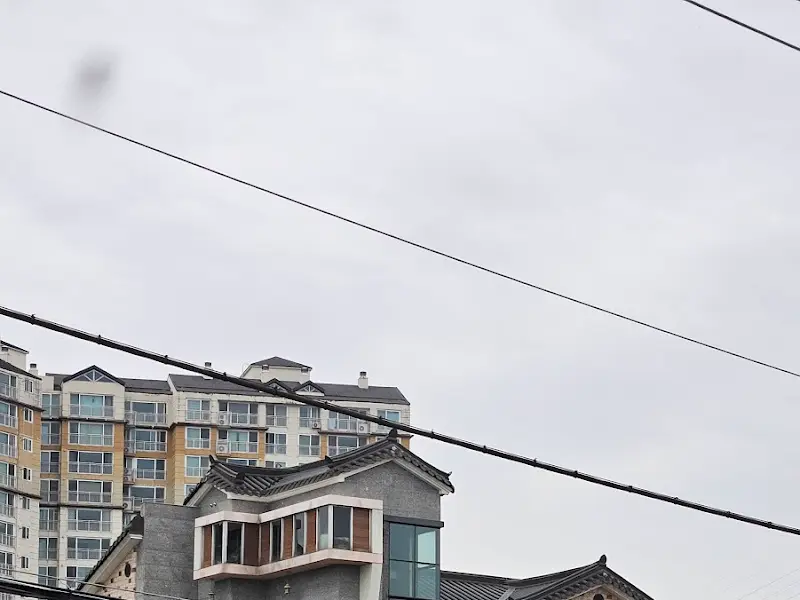 푸짐한 양의 진주 물냉면