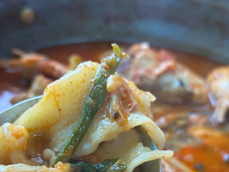 수제비 클로즈업 샷! 쫀득쫀득한 식감이 일품이다.