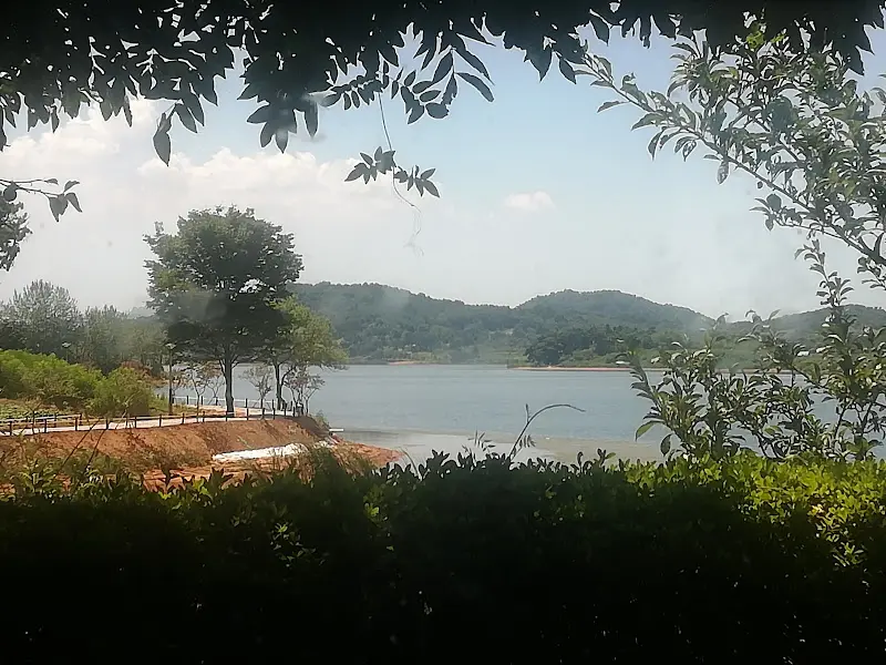 푸른 나무와 풀, 흙길이 보이는 풍경. 멀리 잔잔한 저수지가 보인다.