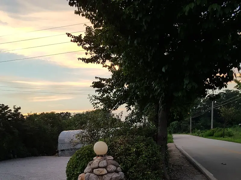 저녁 노을이 지는 풍경. 나뭇가지 사이로 하늘이 보인다.