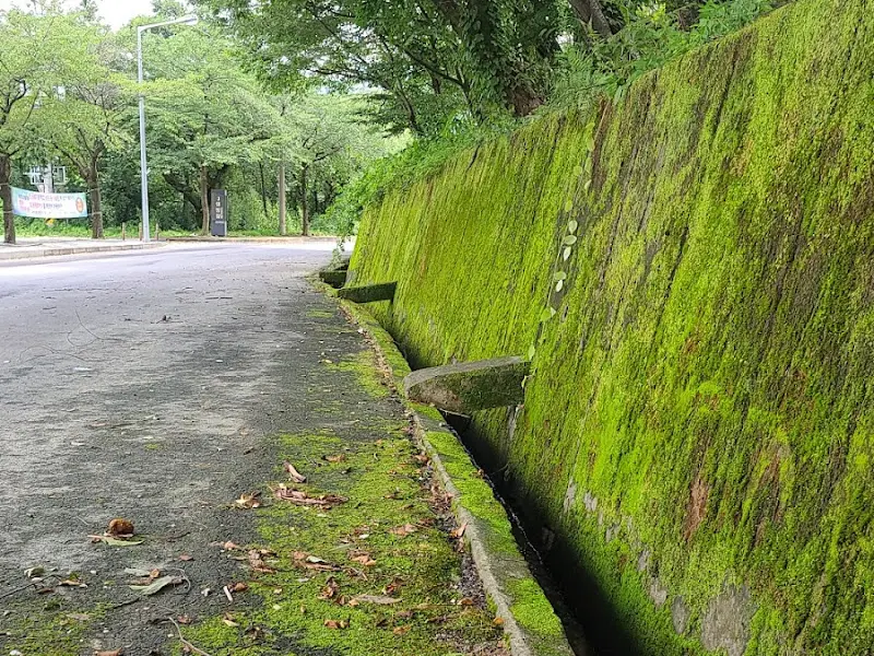 해림식당 주변 풍경