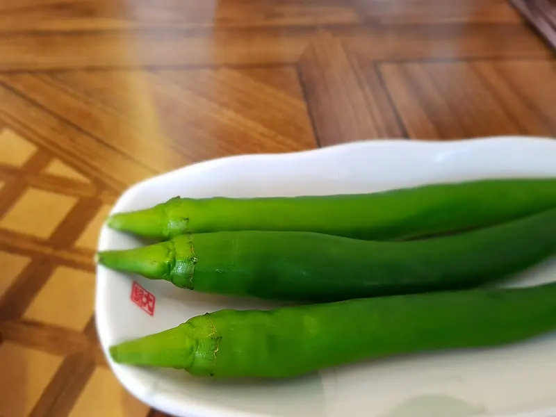 신선한 아삭이 고추