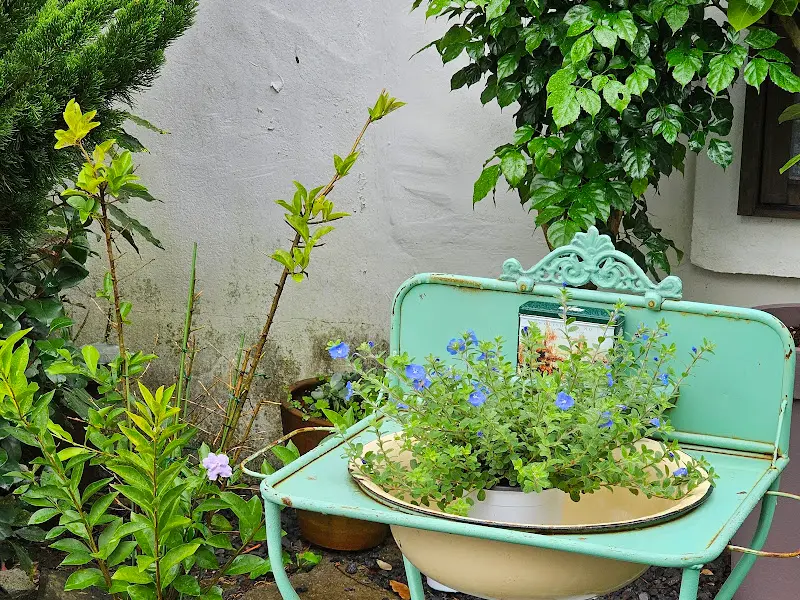 정원의 아기자기한 소품들