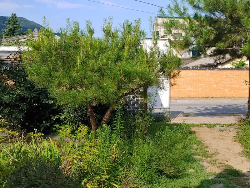 달보다가 주변 풍경