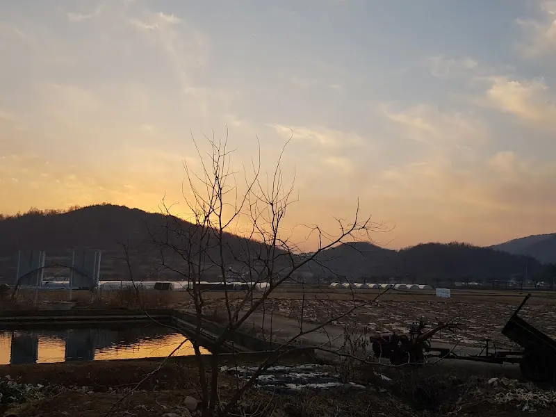 저녁 노을이 아름다운 '맛질송어회집' 풍경