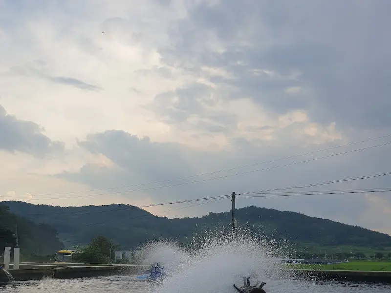 탁 트인 풍경 속에서 즐기는 맛있는 송어회