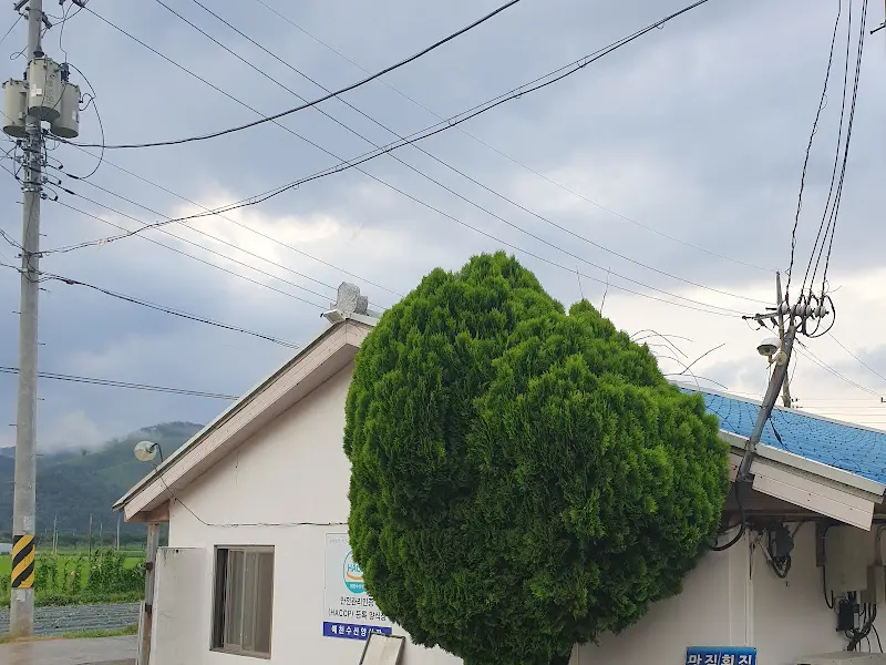 군침이 절로 도는 송어회