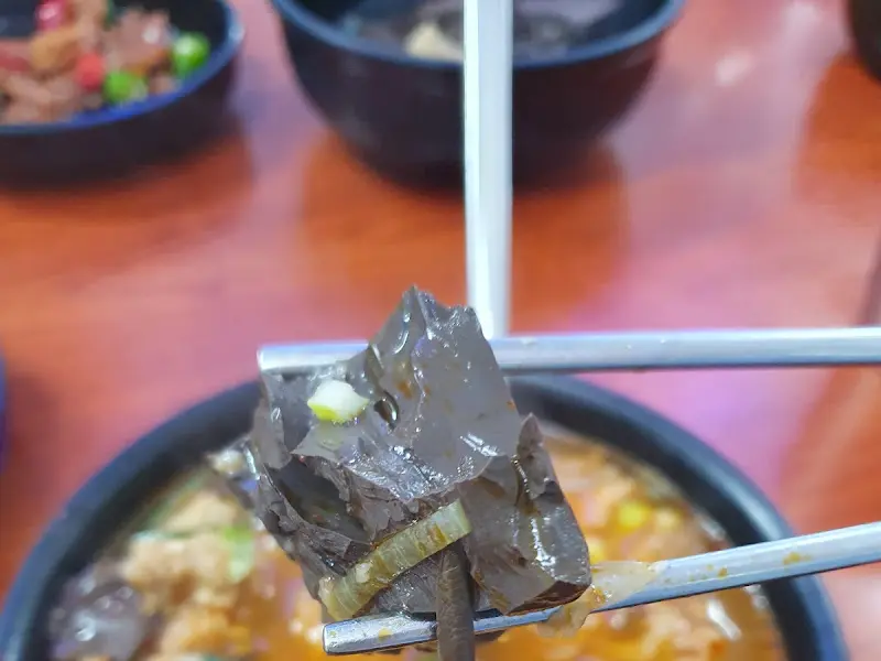 선지 클로즈업 샷