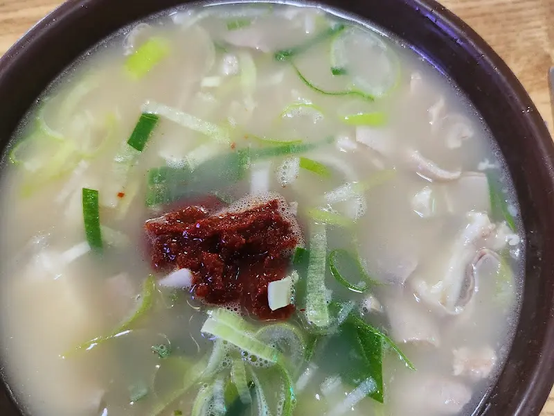 신마산식당 돼지국밥 디테일