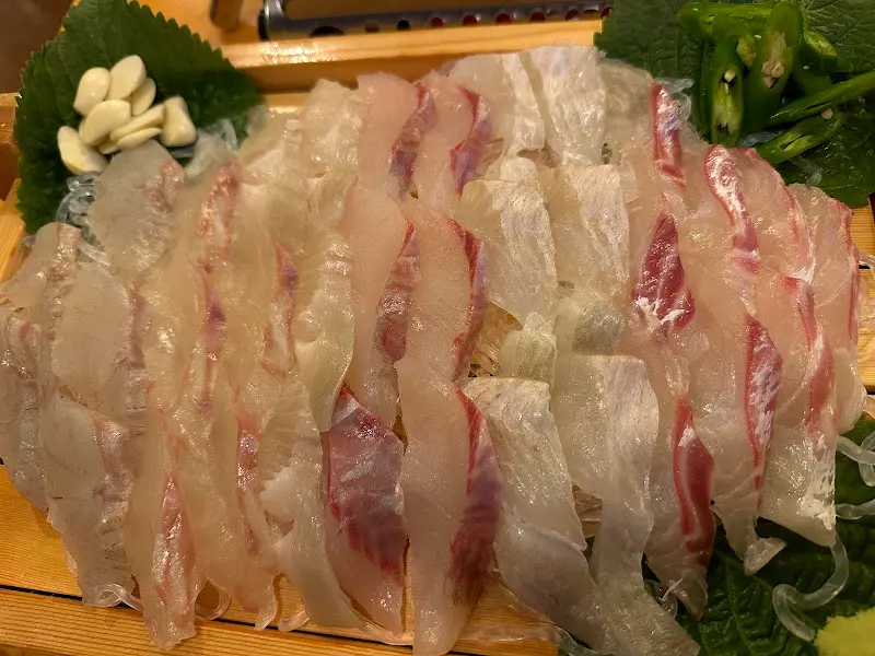 싱싱한 숙성회의 자태