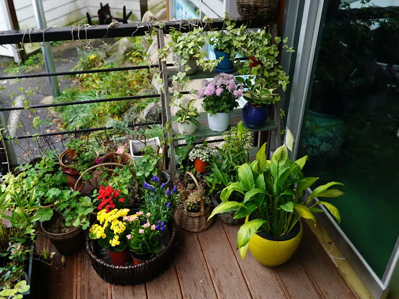 식당 내부 장식