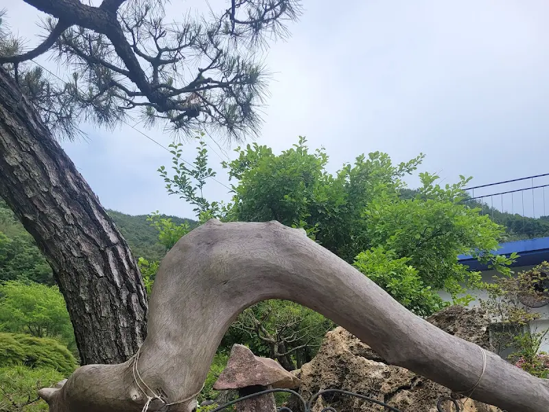 정원이야기 나무